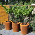 Thomson Kvetináč Ø80x80cm oranžovo hnedý corten