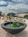 Water lily pot Ø200x40- kvetináč pre lekná