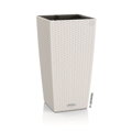 Bloomingoton 115 White